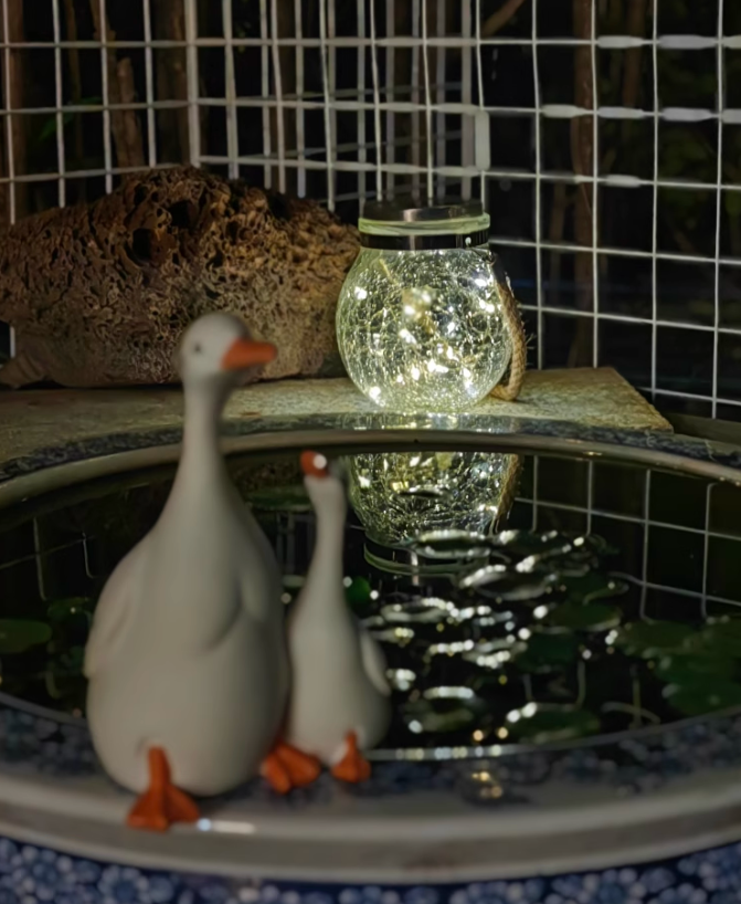 Среща с поетична нощ! Малка светлина на атмосферата осветява микро романтичен ъгъл