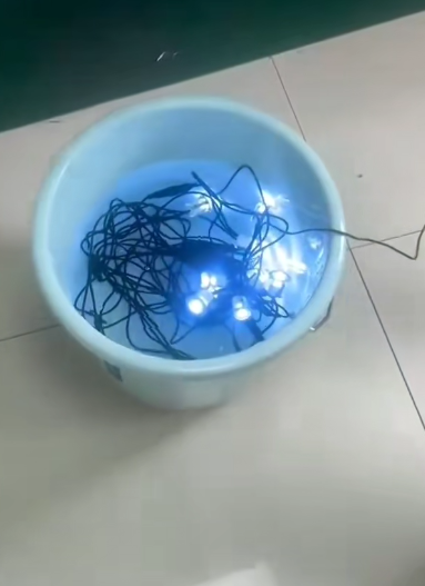 Крушките на палубата са подложени на тест за водоустойчивост, потопени във вода